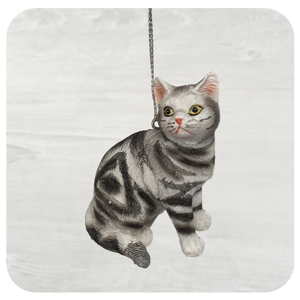 Striped Cat Collection