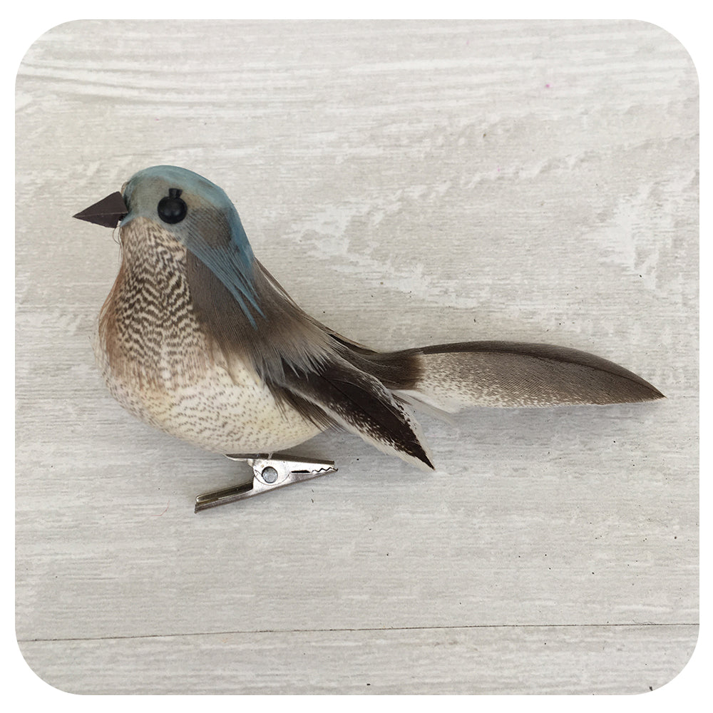 Little Birdy Clip Collection