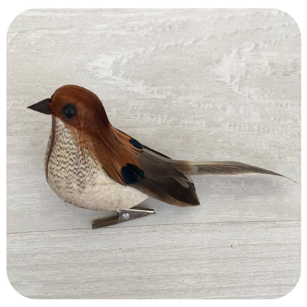 Little Birdy Clip Collection