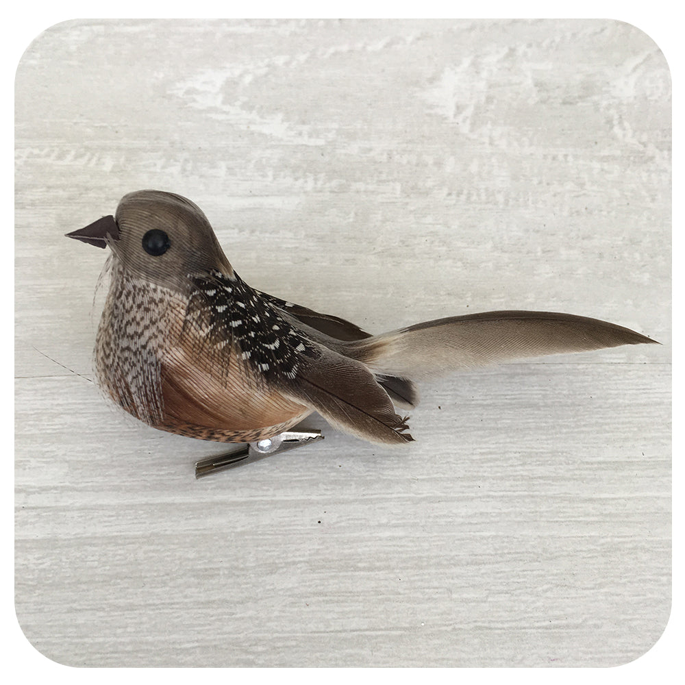 Little Birdy Clip Collection