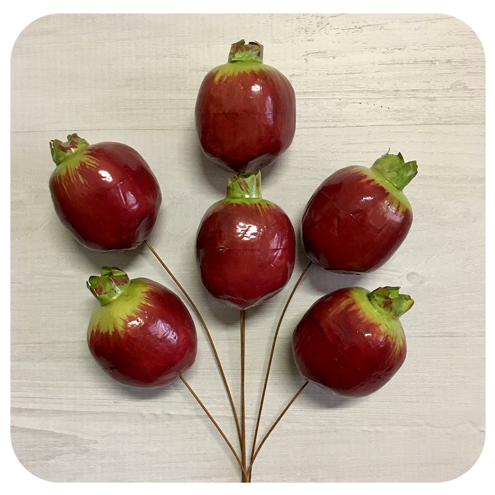 Pomegranate Stems