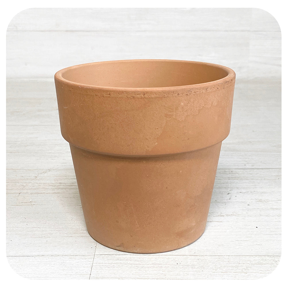 Large Lipped Pot