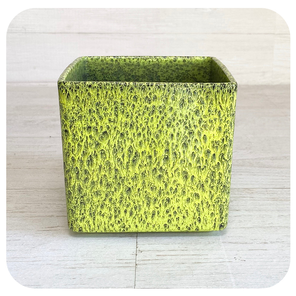 Spirit Pot Collection