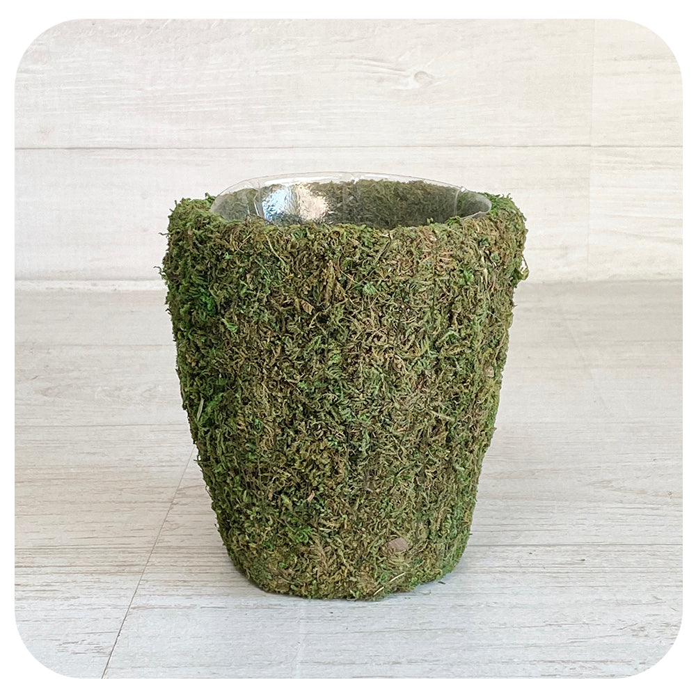 Supermoss Pot Collection