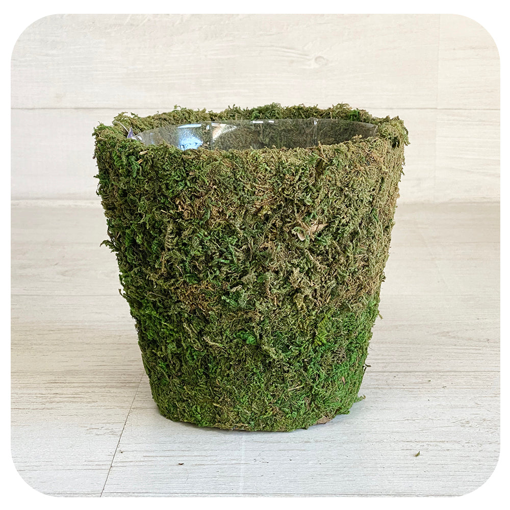 Supermoss Pot Collection