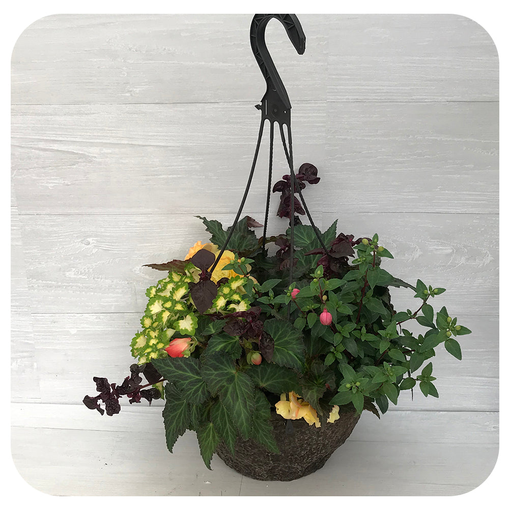 Hanging Basket Shade - Mixed Colours