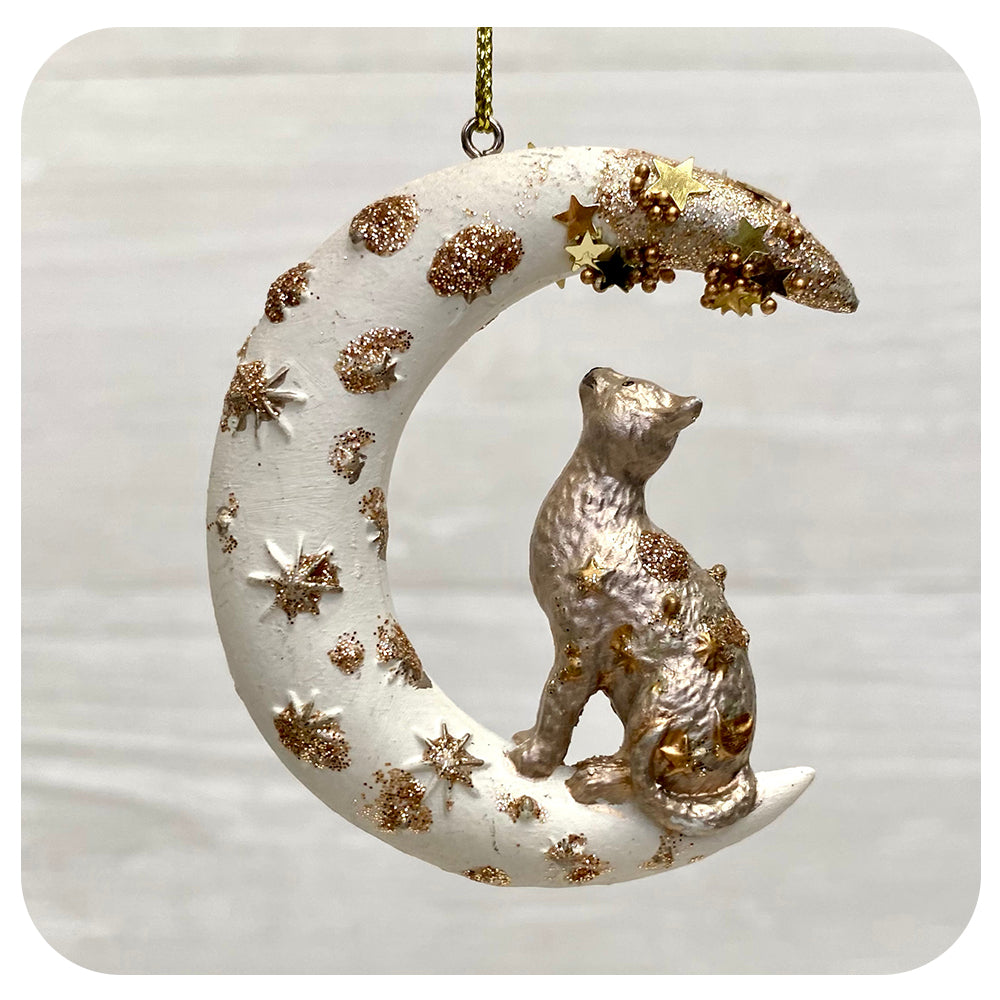 Cat in Crescent Moon