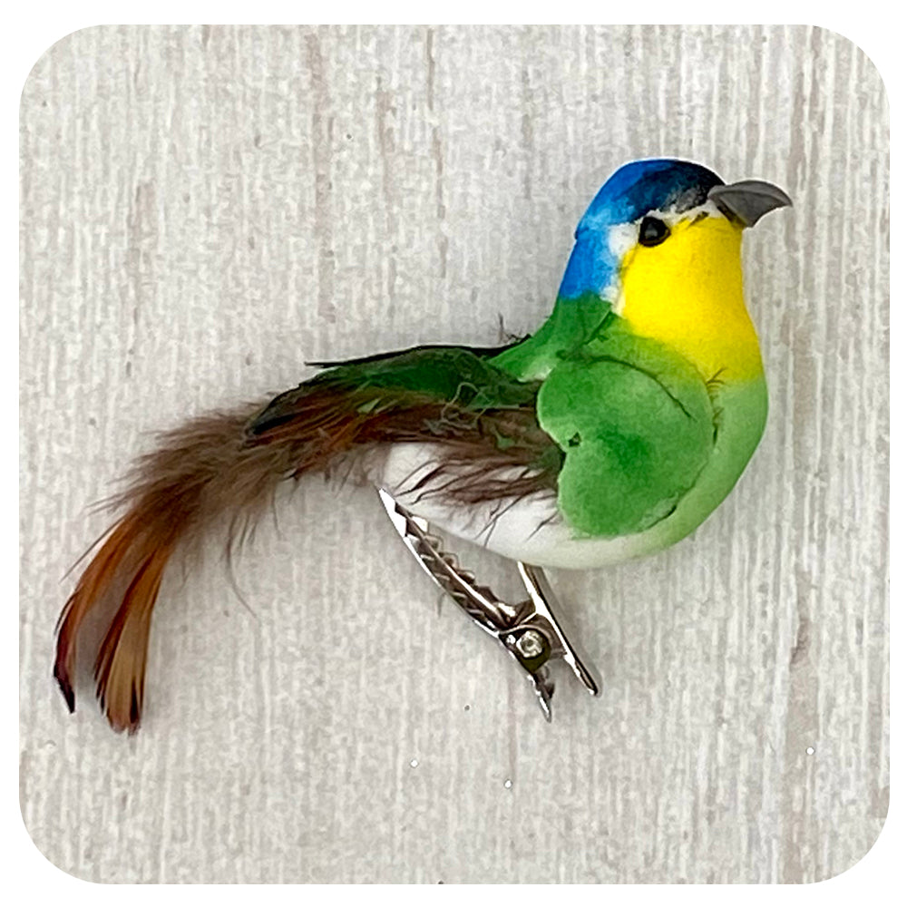Blue and Green Bird Clip