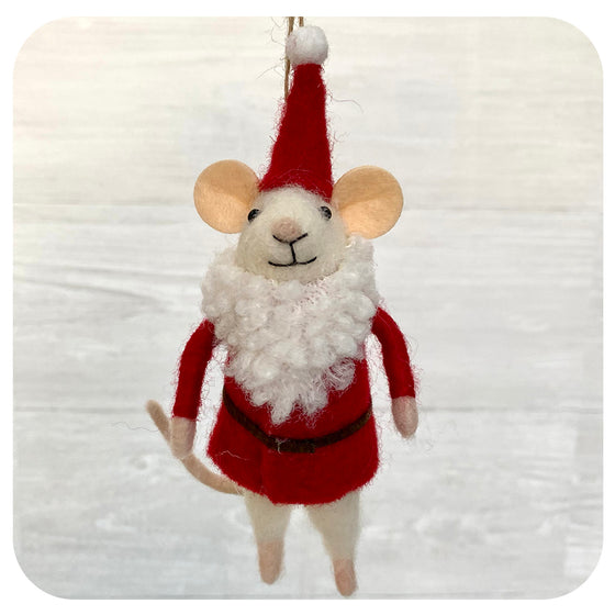 Mouse in Santa Suit