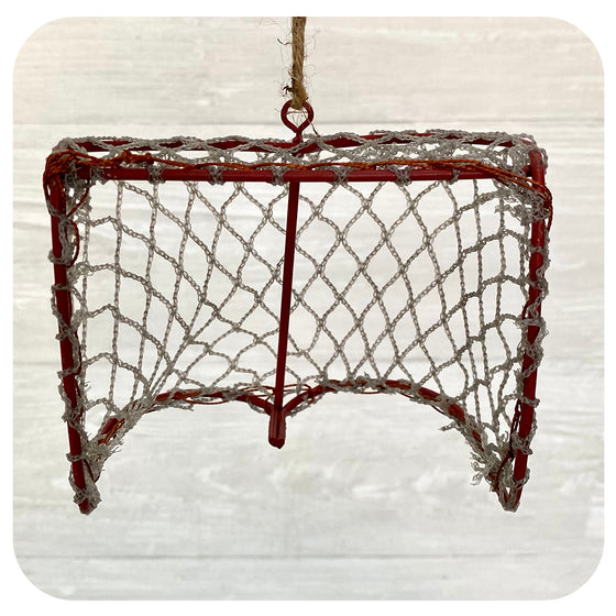 Goalie Net