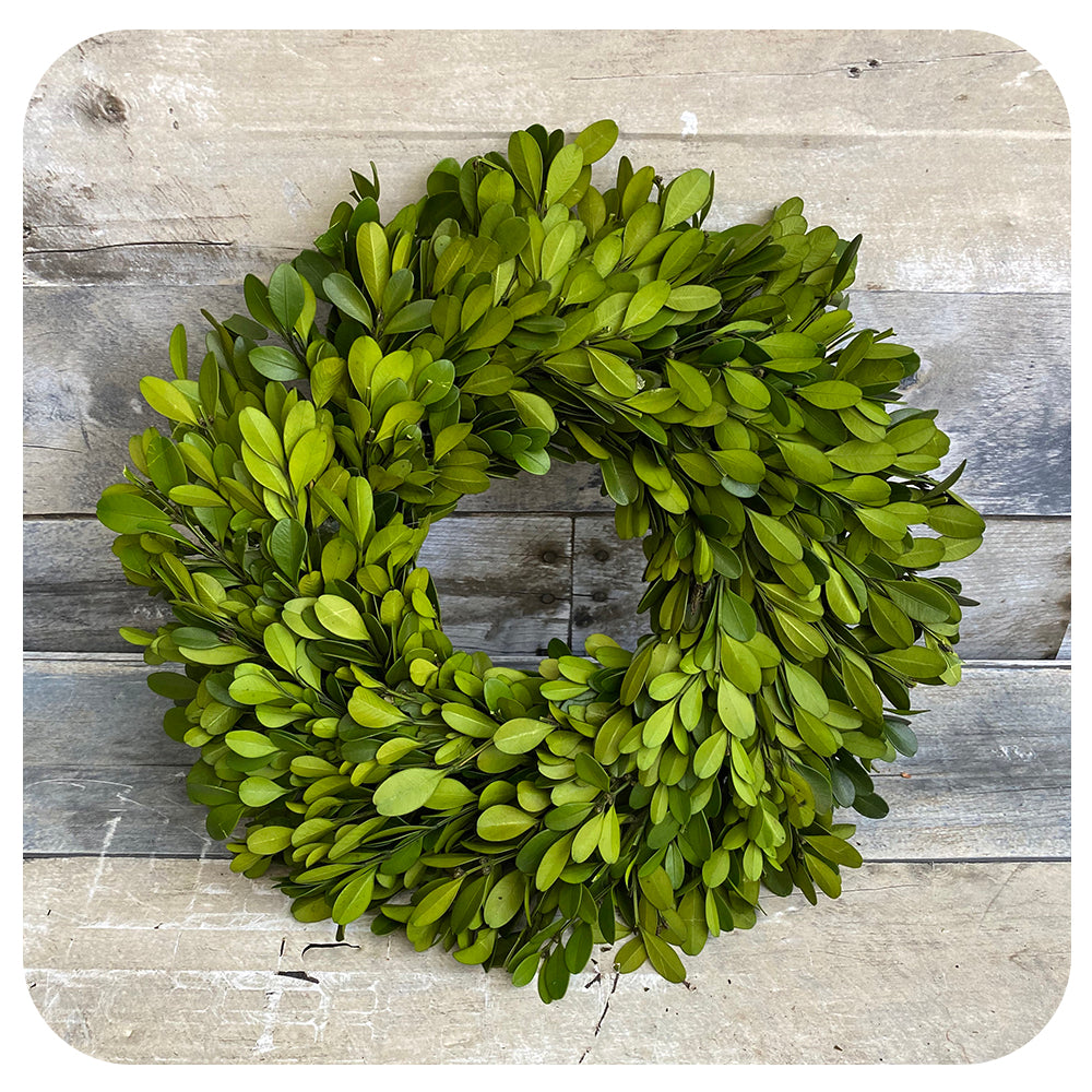 Preserved Boxwood Wreaths