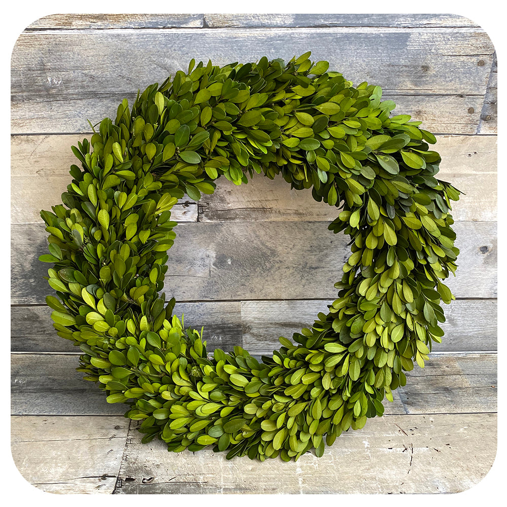 Preserved Boxwood Wreaths