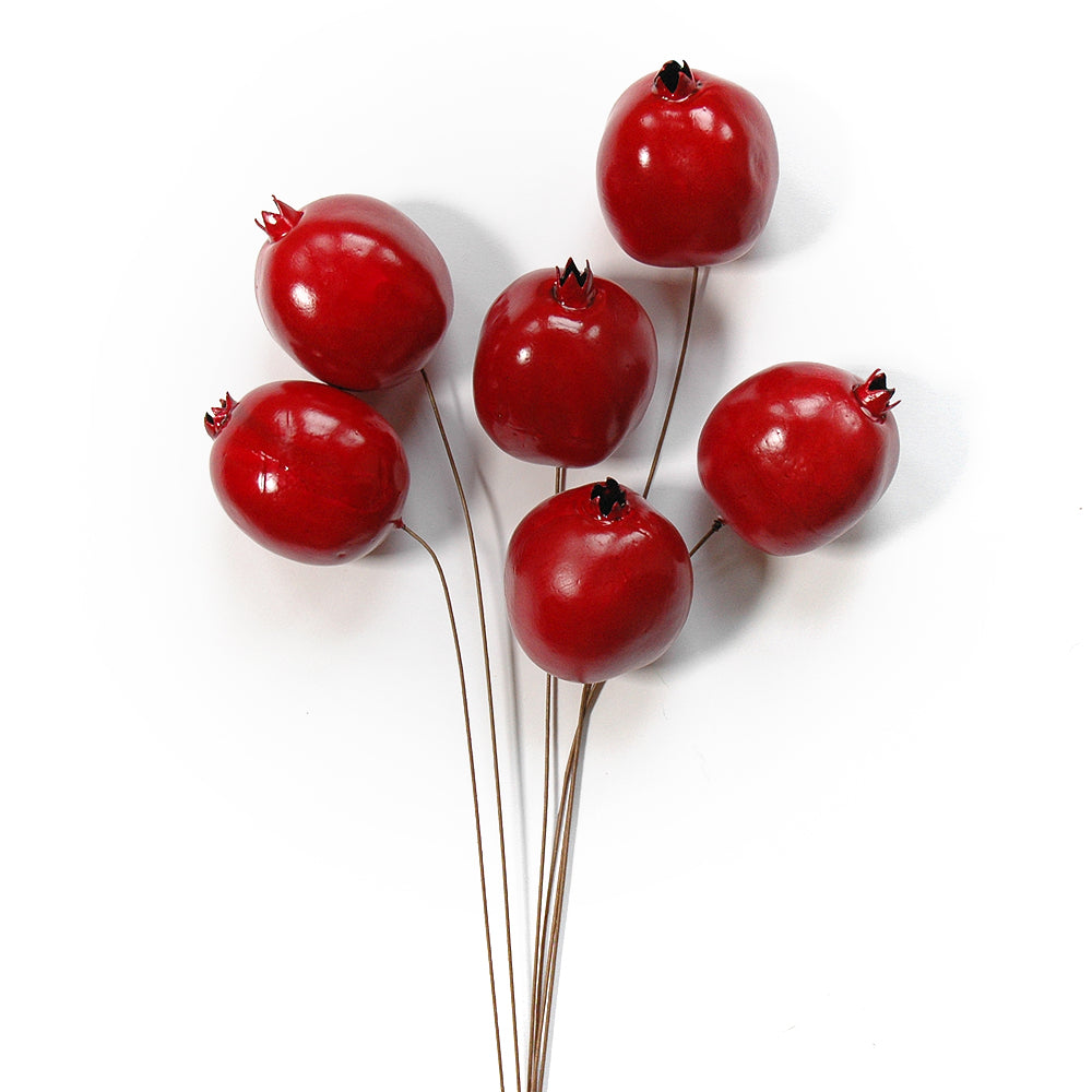 Pomegranate Stems