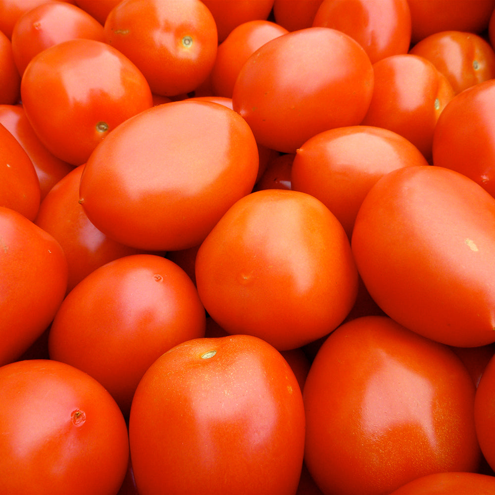 Roma Tomato