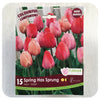 Tulip Mix 'Spring Has Sprung'