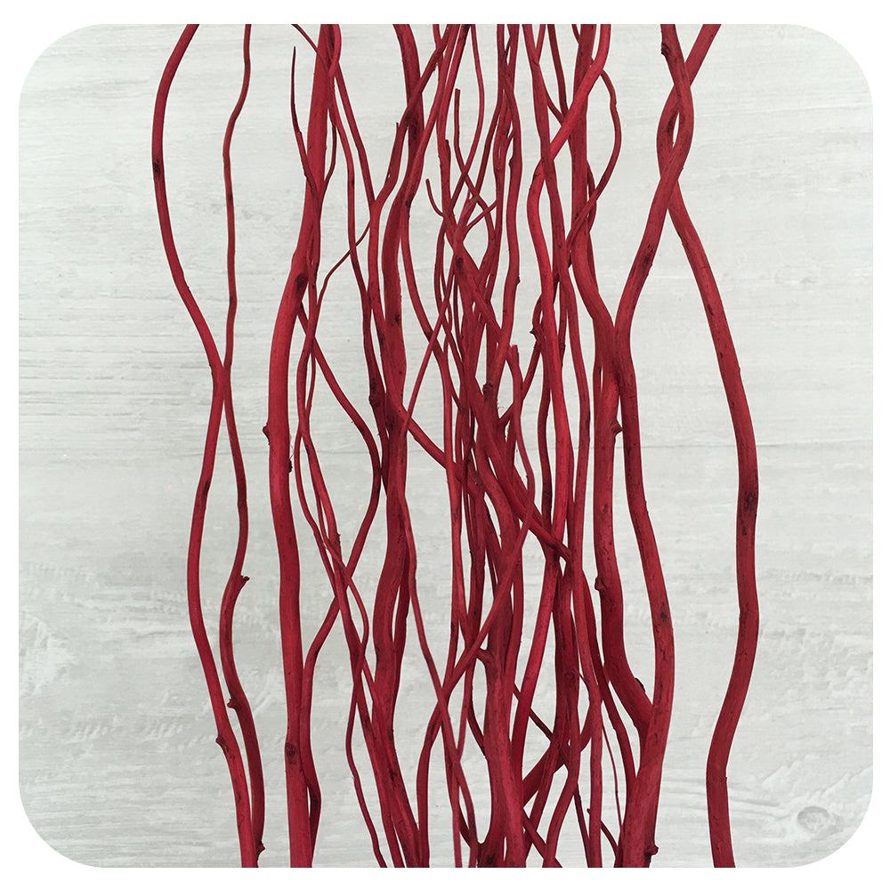 Salix Branch Burgundy