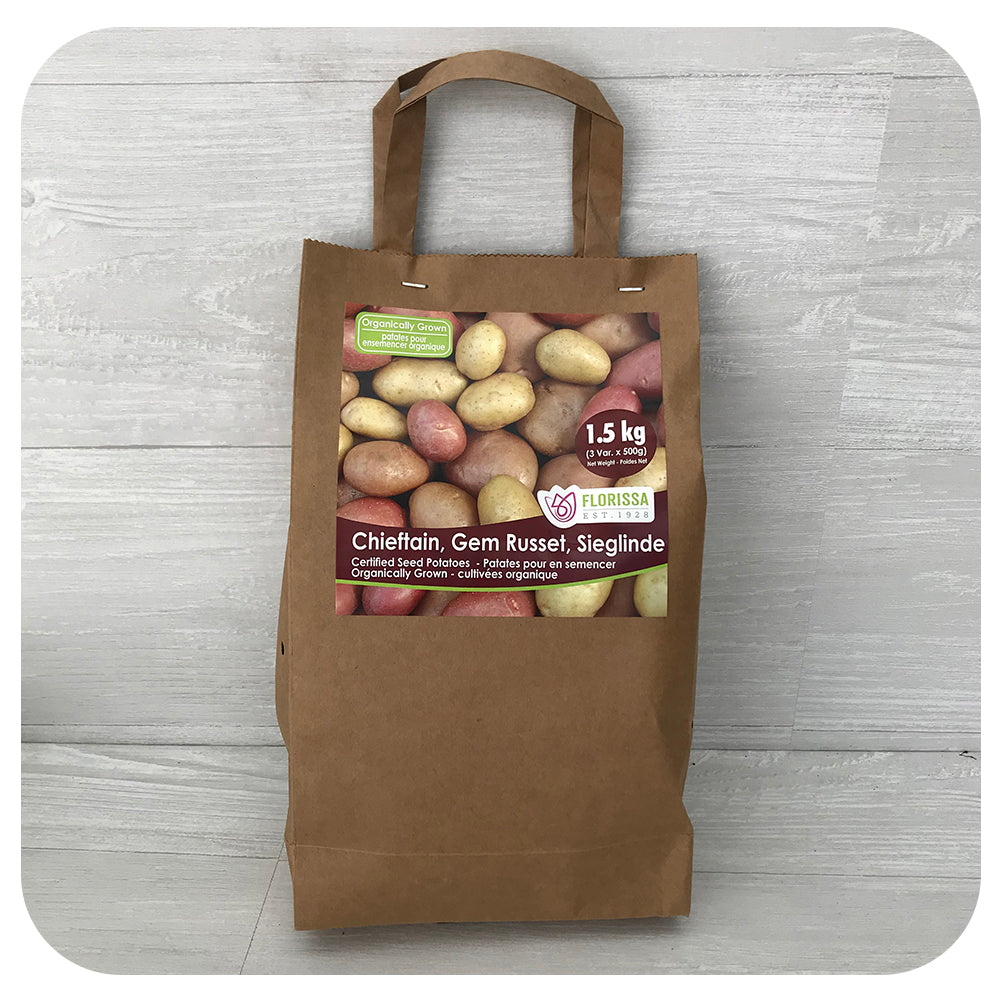 Organic Seed Potatoes Combo Sack