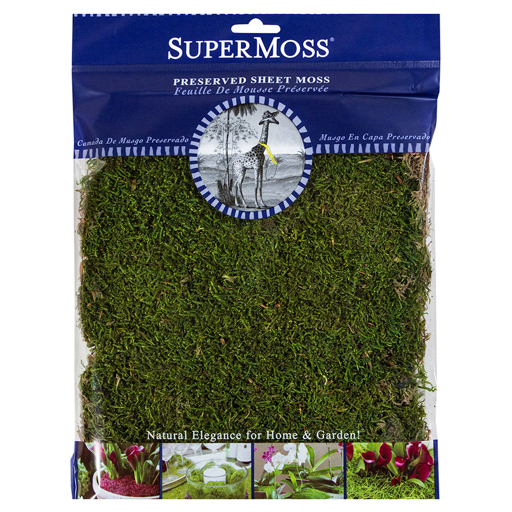 Sheet Moss