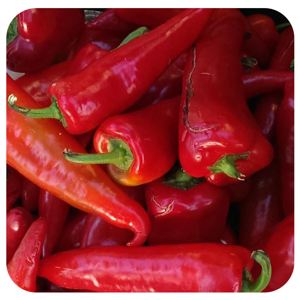 Sriracha Hot Pepper