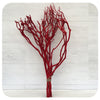 Tea Tree Velvet Branches - Burgundy