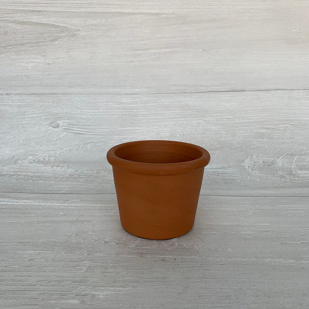 Lipped Terra Cotta Pot
