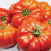 Brandywine Tomato (Organic)