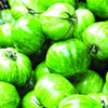 Organic Heirloom Green Zebra Tomato