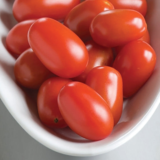 Red Grape Tomato - Organic