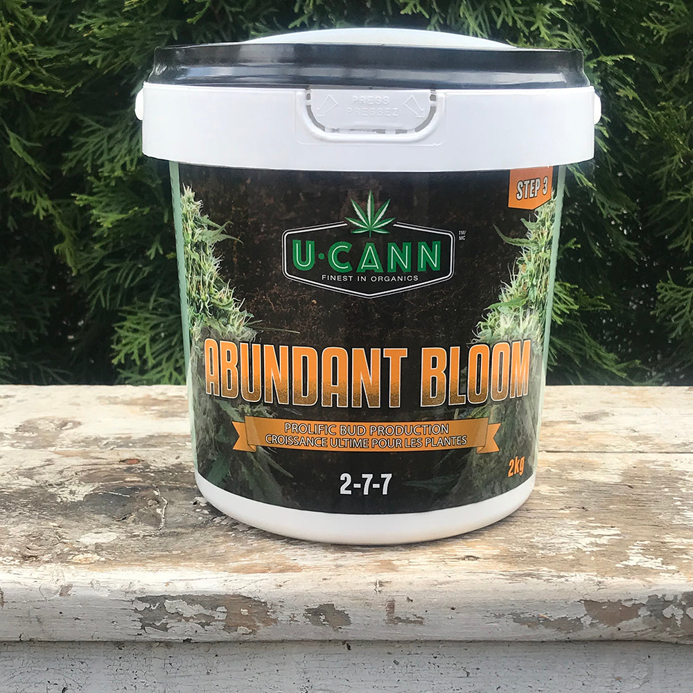 fertilizer for flowering cannabis plants U-Cann Abundant Bloom Organic Cannabis Fertilizer: 2-7-7 Step 3