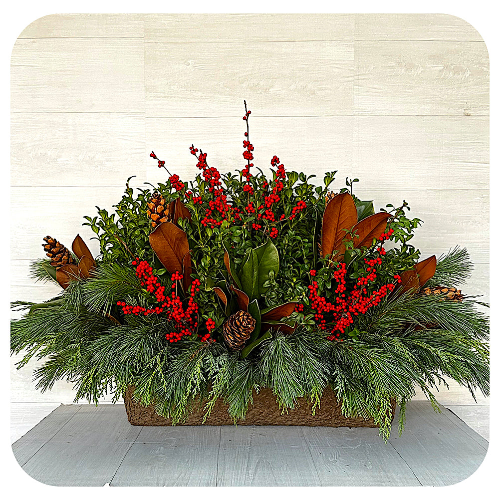 Window Box - Jen's Ilex