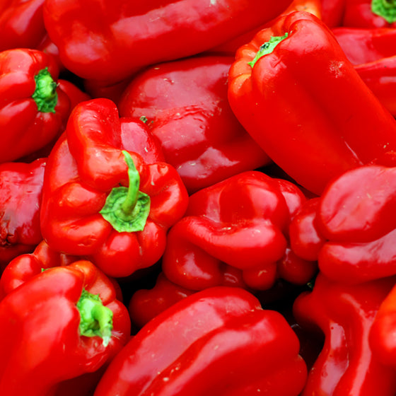 Sweet Pepper (Ace Red Bell) - Organic