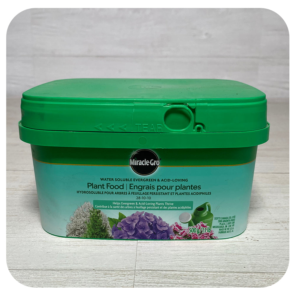miracle gro fertilizer for acid loving plants Miracle-Gro® Water Soluble Evergreen & Acid Loving Plant Food