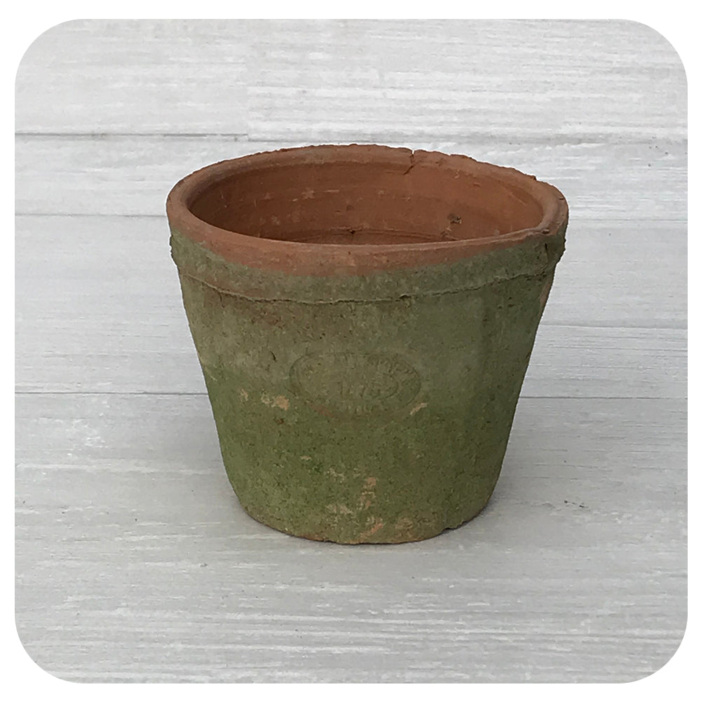 Aged Terra Cotta Pot