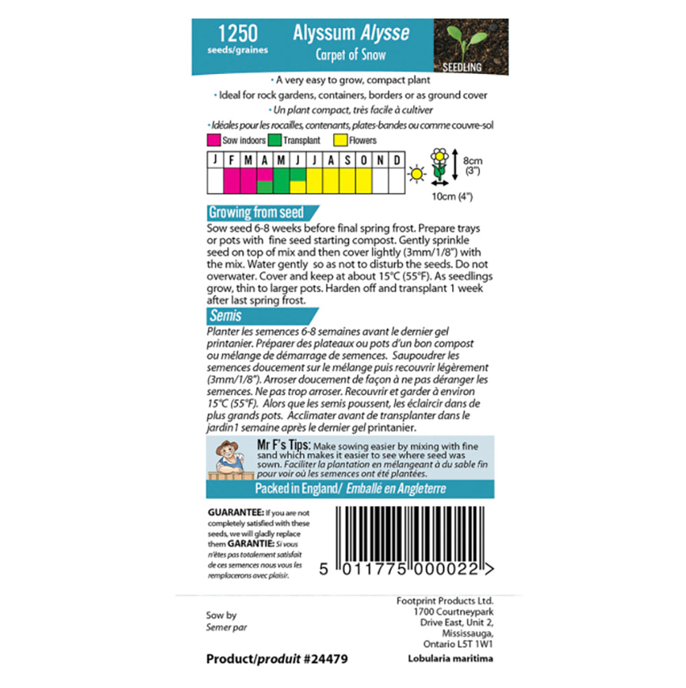 Alyssum 'Carpet of Snow' Seeds