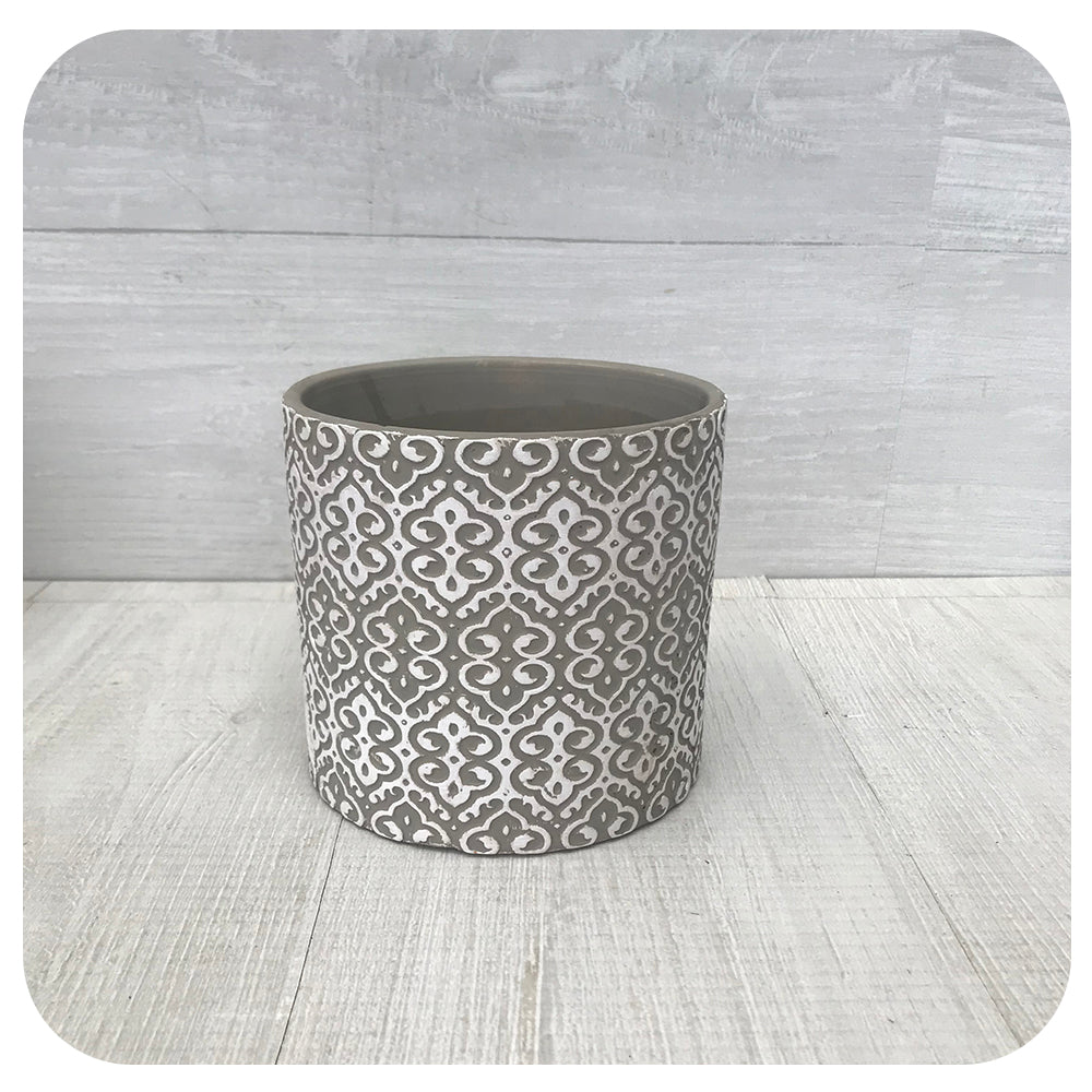 Amelie Indoor Cement Assorted Pot