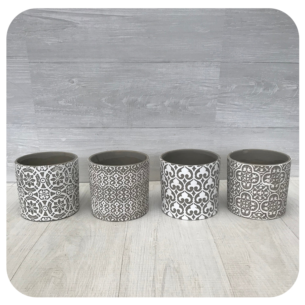 Amelie Indoor Cement Assorted Pot