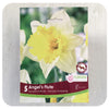 Daffodil 'Angel's Flute' (Narcissus)