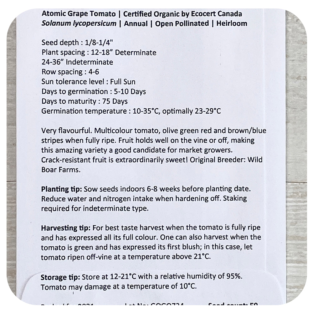Tomato Atomic Grape Seeds (Organic)