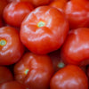 Big Beef Tomato (Organic)