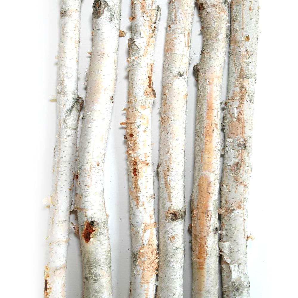 Buy White Birch Poles Online