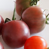 Black cherry tomato - Organic