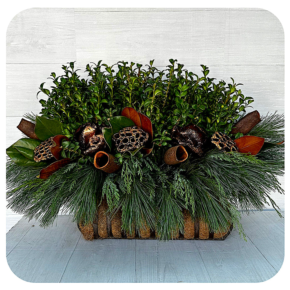 Window Box - Bronze Lotus