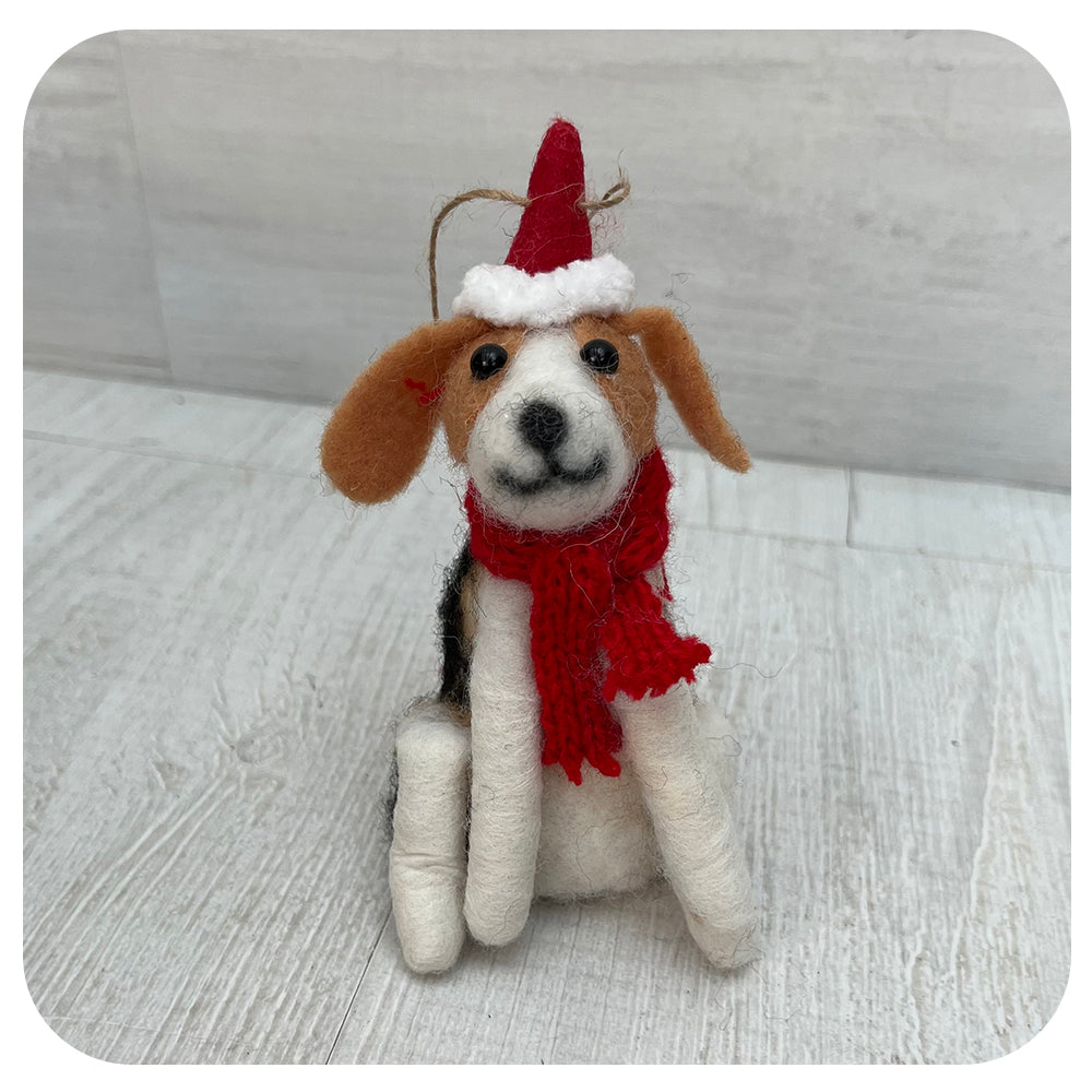 Dog with Santa Hat