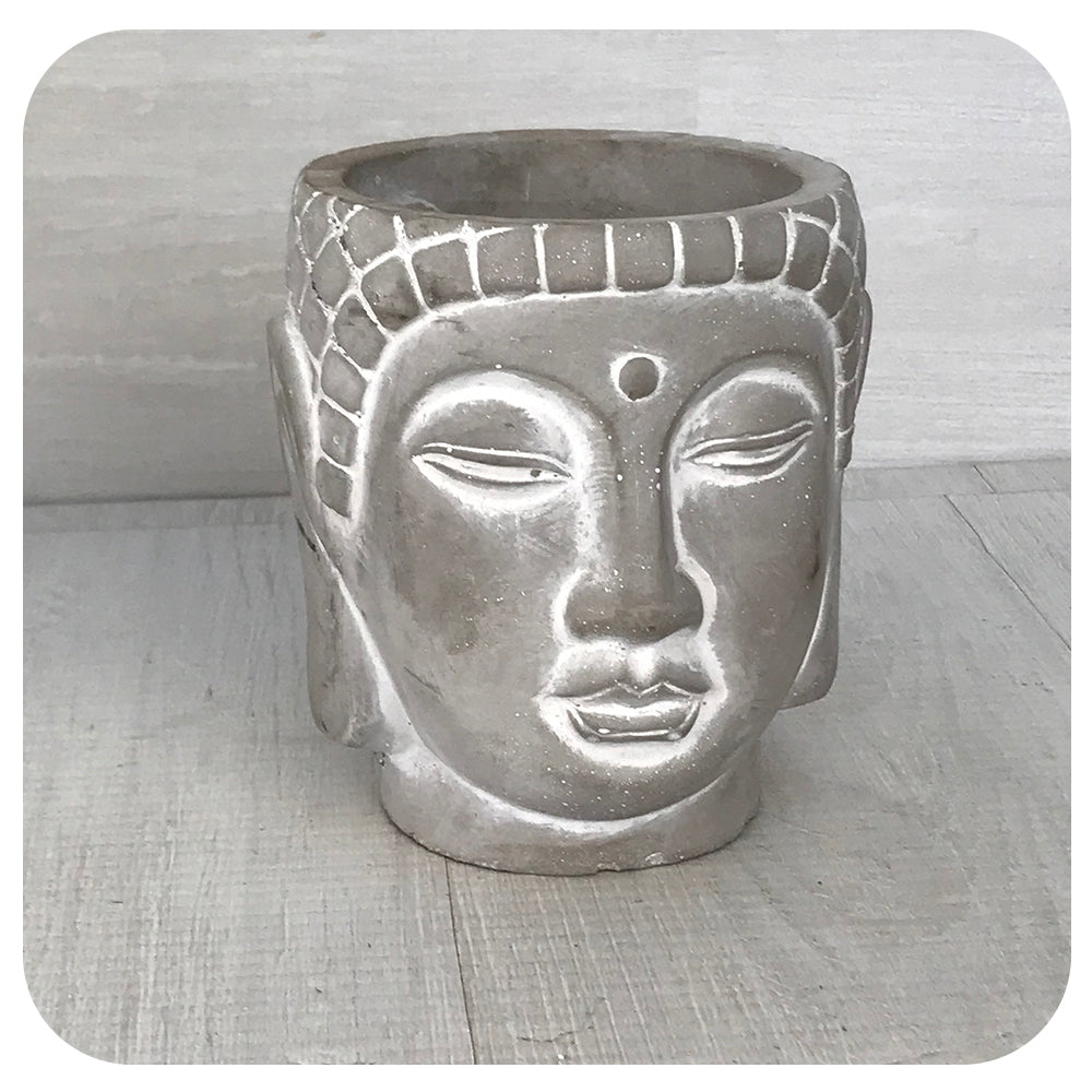 Buddha Head Planter
