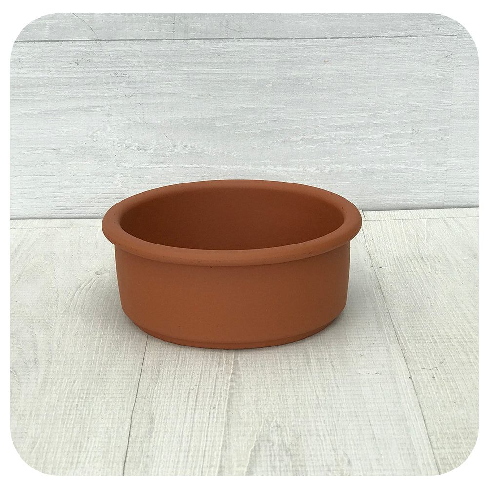 Bulb Planter - Terra Cotta