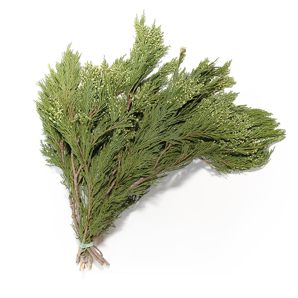 Incense Cedar Boughs