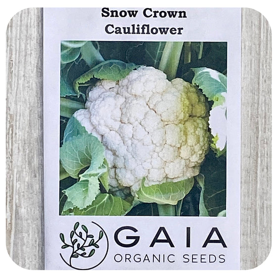 Cauliflower Seeds (Organic)
