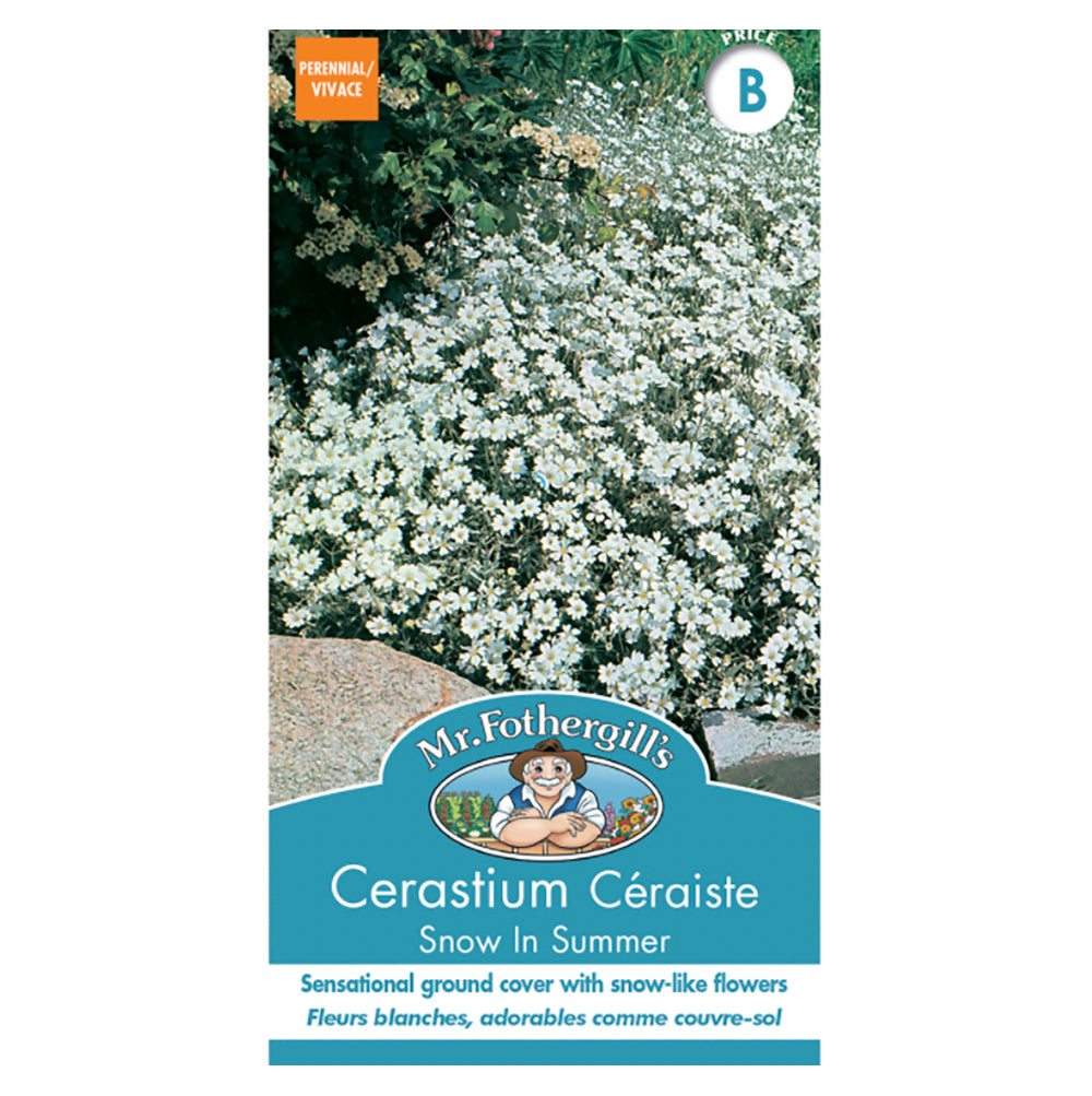 Cerastium 'Snow in Summer' Seeds