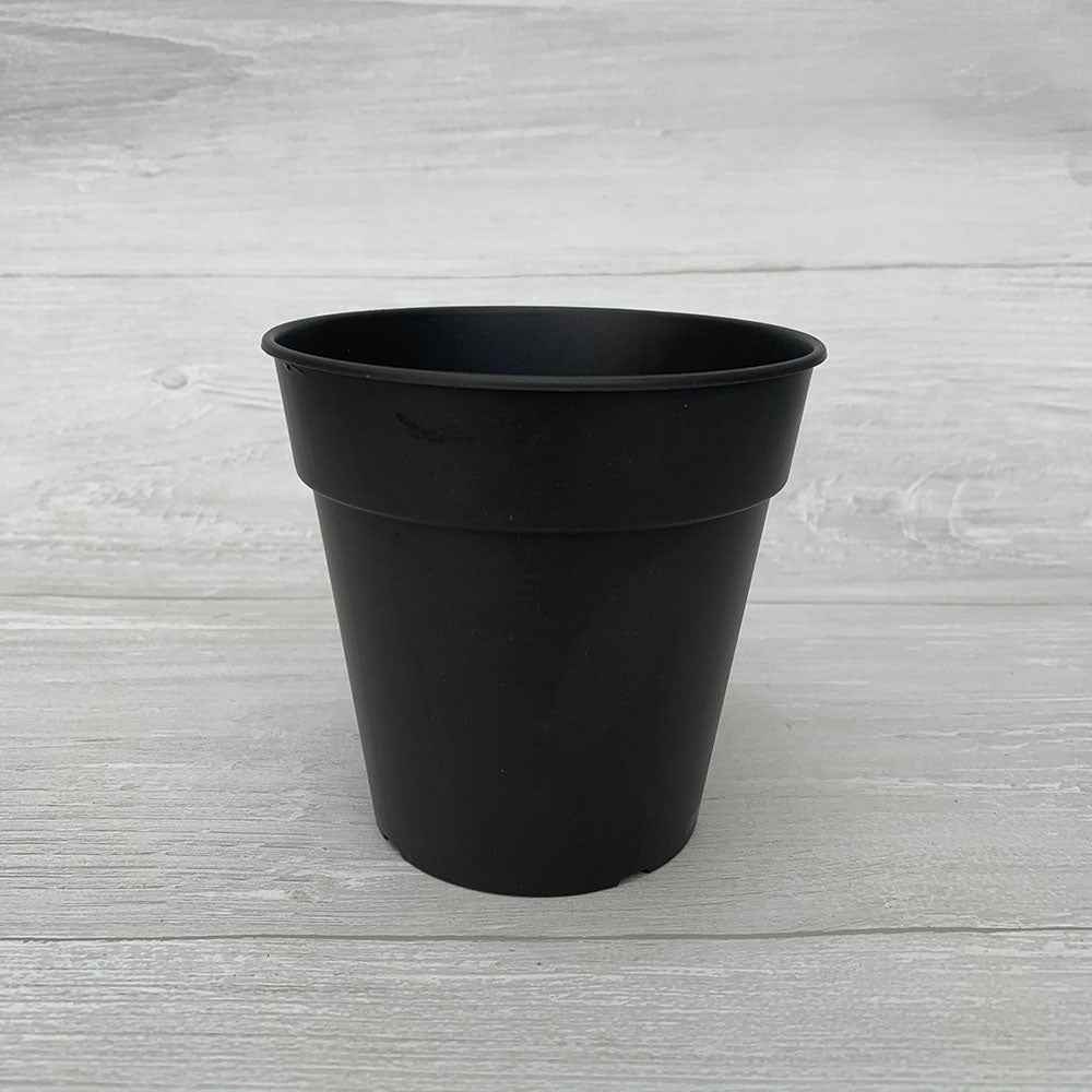 Black Plastic Pot