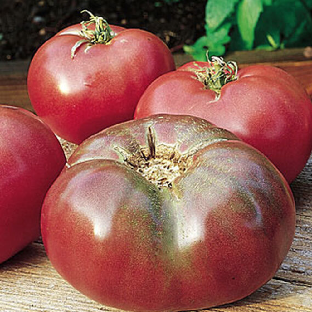 Cherokee Purple Tomato (Heirloom)